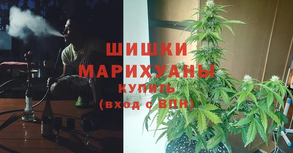 Альфа ПВП Абаза